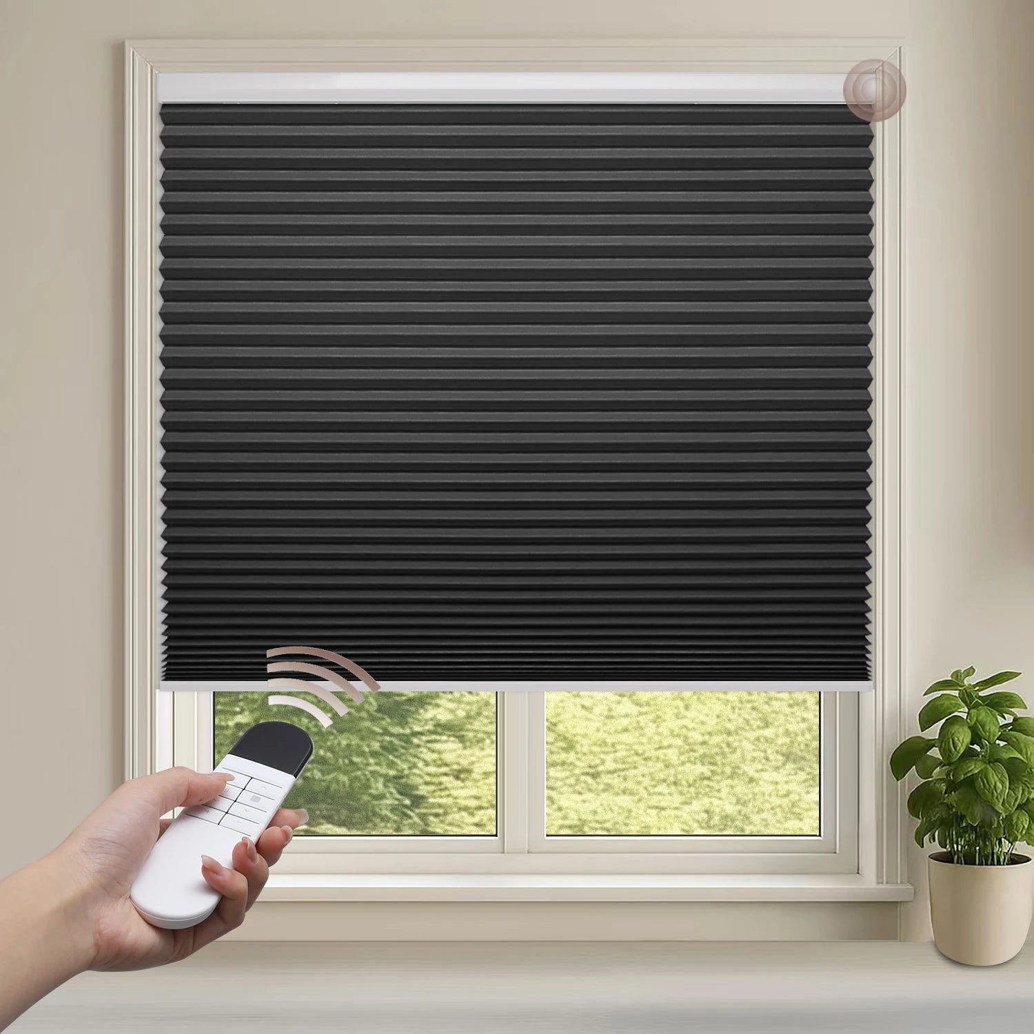 Motorized Blackout Cellular Shades