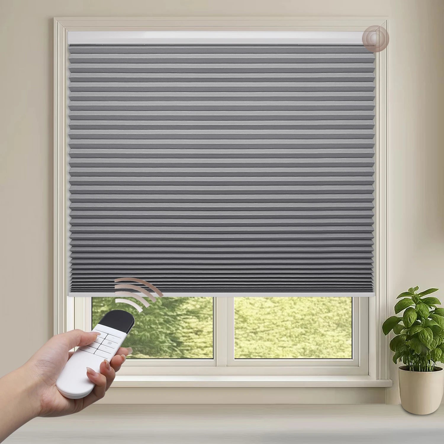 Motorized Blackout Cellular Shades