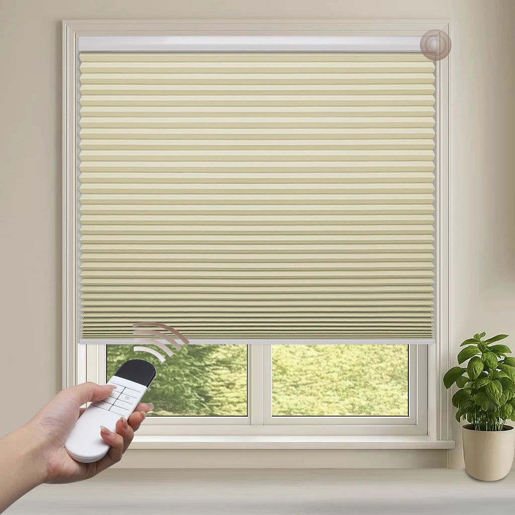 Motorized Blackout Cellular Shades
