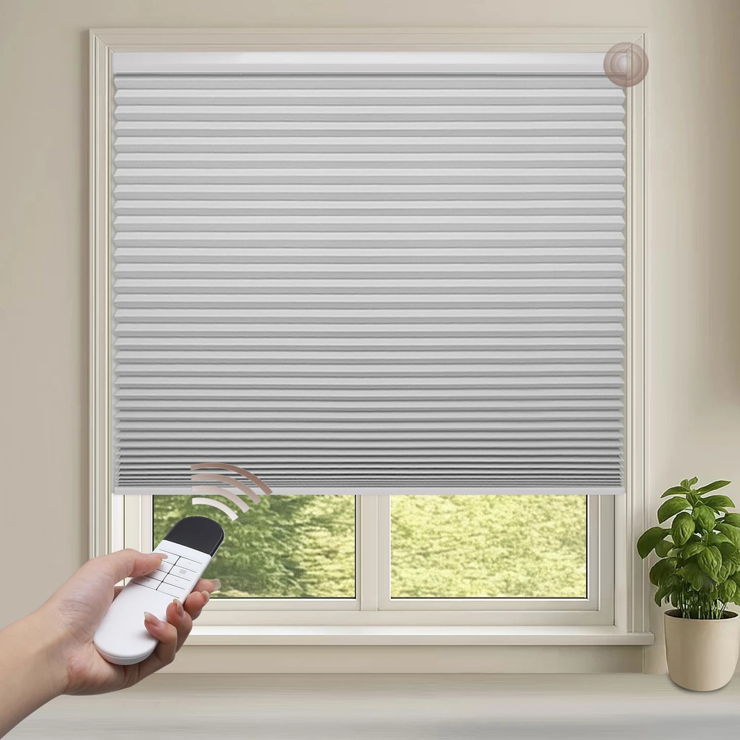 Motorized Blackout Cellular Shades