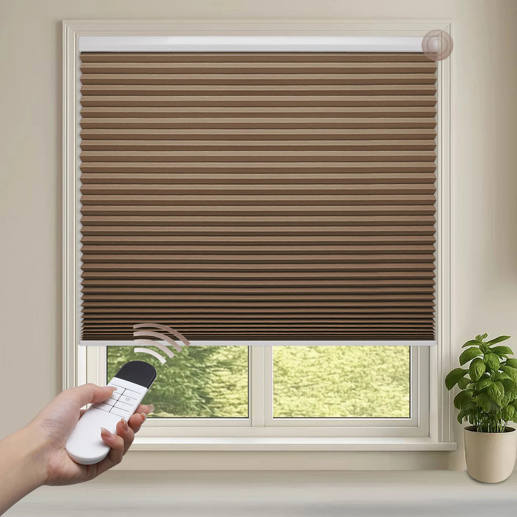 Motorized Blackout Cellular Shades